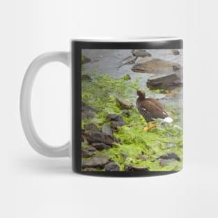 Kelp goose Mug